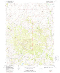 Bakers Peak 1969 topographic map preview