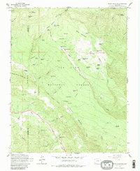 Baldy Mountain 1964 topographic map thumbnail