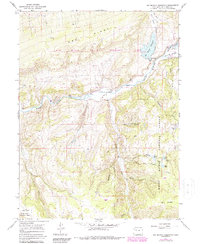 Big Beaver Reservoir 1966 topographic map thumbnail