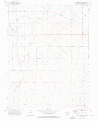 Big Springs Ranch 1973 topographic map thumbnail