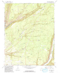 Boggy Draw 1993 topographic map thumbnail