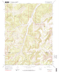 Brushy Point 1964 topographic map thumbnail