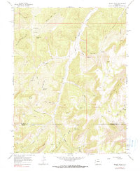 Brushy Point 1964 topographic map thumbnail
