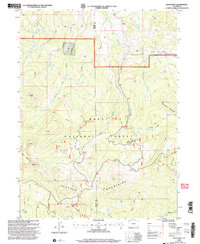 Buck Point 2000 topographic map thumbnail