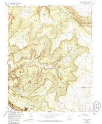 Bull Canyon 1960 topographic map thumbnail