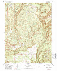 Calamity Mesa 1960 topographic map thumbnail