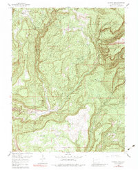 Calamity Mesa 1960 topographic map thumbnail