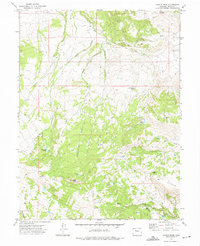 Castle Peak 1972 topographic map thumbnail