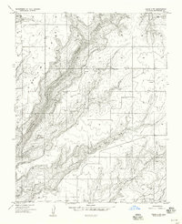 Cedar 3 SW topographic map thumbnail