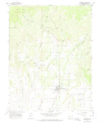 Cedaredge 1965 topographic map thumbnail