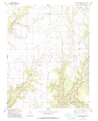 Champagne Spring 1993 topographic map preview