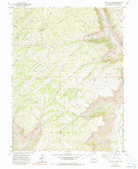 Circle Dot Gulch 1971 topographic map thumbnail