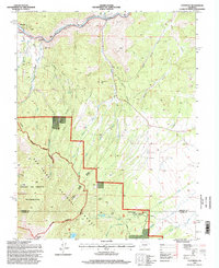 Cotopaxi 1994 topographic map thumbnail