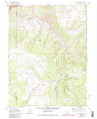 Cottonwood Pass 1961 topographic map thumbnail