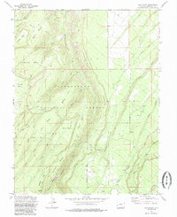 Davis Point 1973 topographic map thumbnail