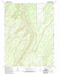 Davis Point 1994 topographic map thumbnail