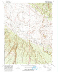 Dawson Draw 1993 topographic map thumbnail