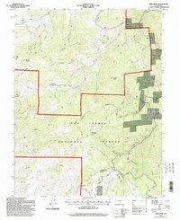 Deer Peak 1994 topographic map thumbnail