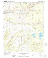 Dolores East 1965 topographic map thumbnail