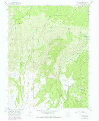 Dry Creek 1965 topographic map thumbnail