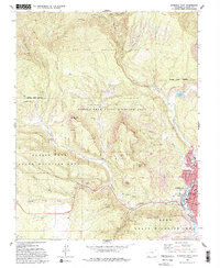 Durango West 1963 topographic map thumbnail