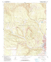 Durango West 1963 topographic map thumbnail