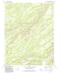 Escalante Forks 1973 topographic map thumbnail