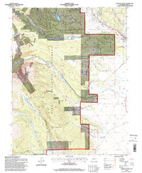 Fairplay West 1994 topographic map thumbnail