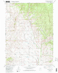 Gunsight Pass 1980 topographic map thumbnail