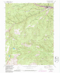 Idaho Springs 1957 topographic map thumbnail
