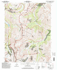 Independence Pass 1994 topographic map thumbnail