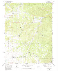 Iron Mountain 1980 topographic map thumbnail