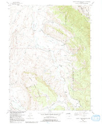 Johnny Moore Mountain 1956 topographic map thumbnail