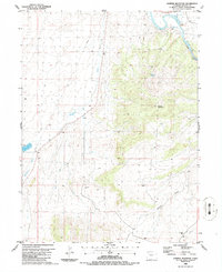 Juniper Mountain 1986 topographic map thumbnail