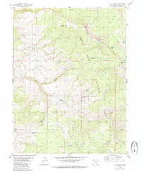 Lava Creek 1980 topographic map thumbnail