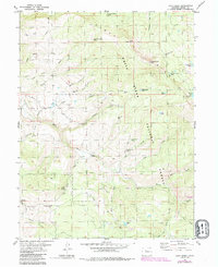 Lava Creek 1980 topographic map thumbnail