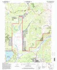 Leadville North 1994 topographic map thumbnail