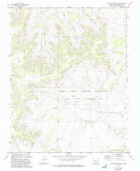 Lockwood Arroyo 1993 topographic map thumbnail