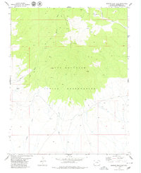 Mariano Wash East 1979 topographic map thumbnail