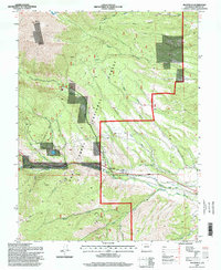 Maysville 1994 topographic map thumbnail