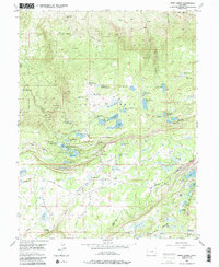 Mesa Lakes 1955 topographic map thumbnail
