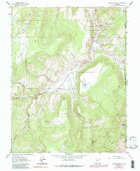 Mineral Mountain 1963 topographic map thumbnail