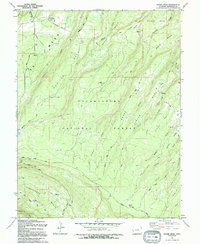 Moore Mesa 1994 topographic map thumbnail