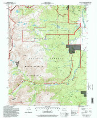 Mount Massive 1994 topographic map thumbnail
