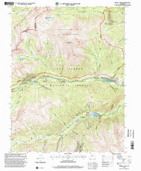 Mount Yale 1994 topographic map thumbnail