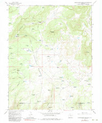 Narraguinnep Mountain 1965 topographic map thumbnail