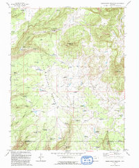 Narraguinnep Mountain 1993 topographic map thumbnail