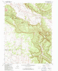 Naturita NW 1994 topographic map thumbnail