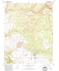 Nucla 1994 topographic map thumbnail