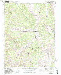 Palomino Mountain 1973 topographic map thumbnail